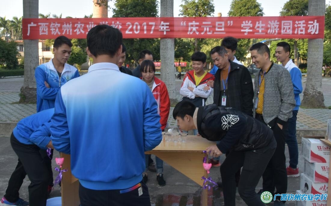 我校举行庆祝2017年“庆元旦”学生游园活动