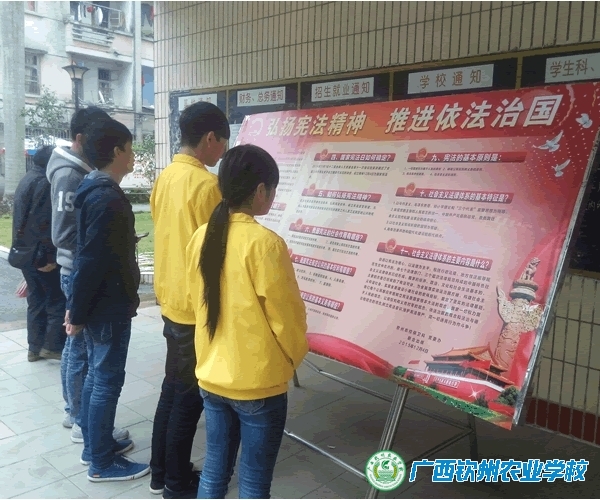 我校开展“12.4”国家宪法日学习宣传活动