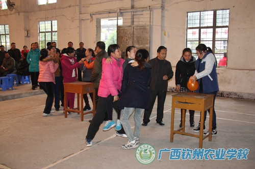 热热闹闹庆元旦 欢欢喜喜迎新年