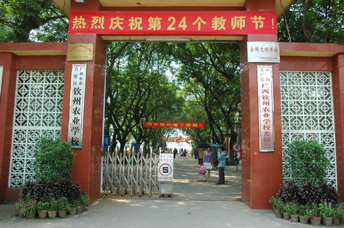 我校以丰富的活动迎接第24个教师节