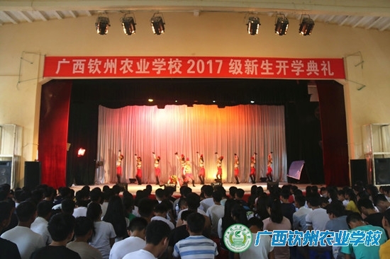我校举行2017级新生开学典礼