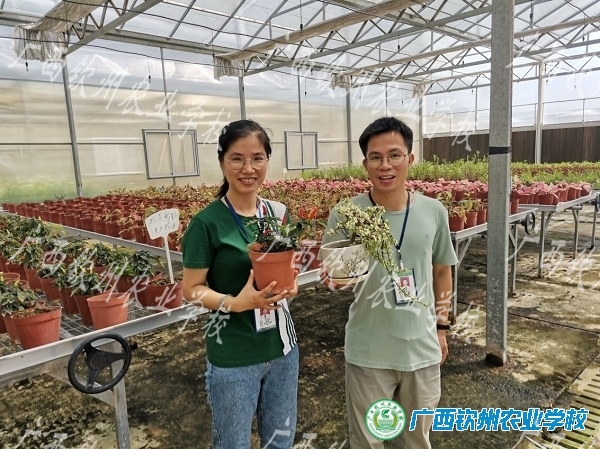 老师，您辛苦了！ ——园林专业学生用技能庆祝教师节