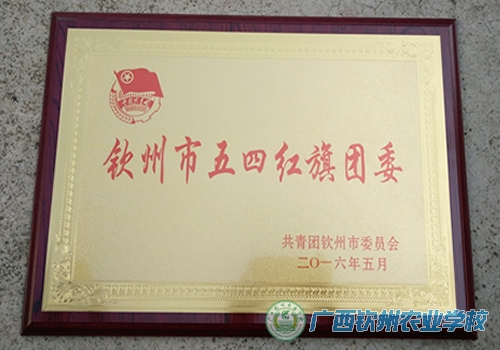 我校团委荣获2015年度“钦州市五四红旗团委”称号