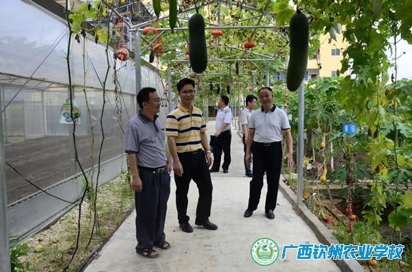 自治区水库移民工作管理局领导莅临我校开展水库移民劳动力培训调研工作