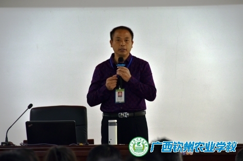 金鸡报晓迎新春 扬帆起航创佳绩
