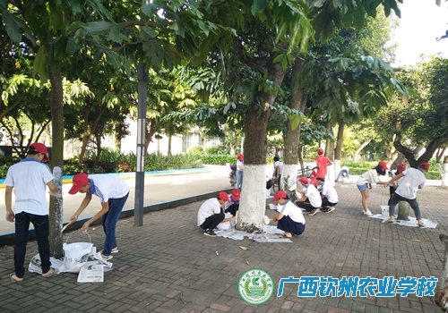 青年志愿者协会为校园行道树进行刷白防护
