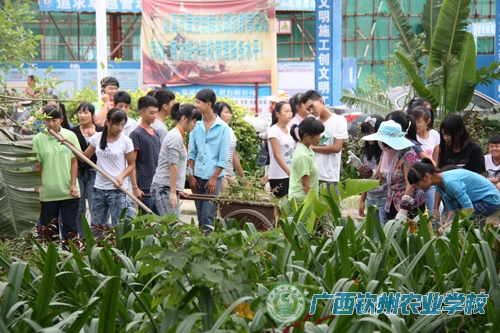 我校开展校园环境清洁整治活动