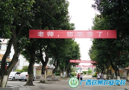 我校团委组织开展教师节主题活动