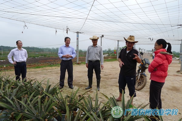 我校老师到钦州钦台农有机生态农场参观考察