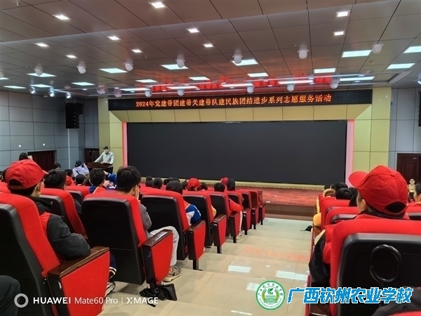 植此春绿 共树希望——我校教师参加钦州市教育工作委员会植树活动