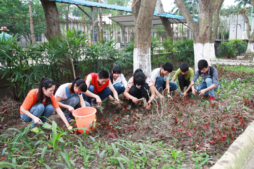 植树护绿  美化校园