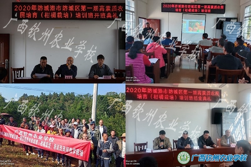 我校圆满完成2020年防城港市防城区高素质农民培育项目任务