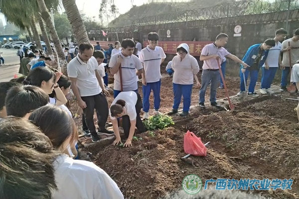 以“劳”启智 以“农”润心 ——我校梁秀芳老师应邀到钦州市第一中学授课