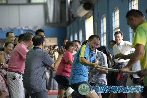 我校举行庆教师节拔河比赛