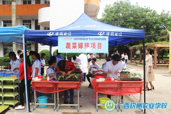 2018年全国科技活动周钦州市校园科普活动系列报道四——展专业技能 现钦农风采