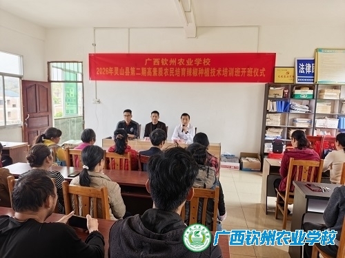 广西钦州农业学校2026年灵山县第二期辣椒种植技术培训班开班