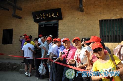 我校“庆七一”系列活动精彩纷呈