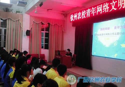 共建清朗网络，钦农学子先行