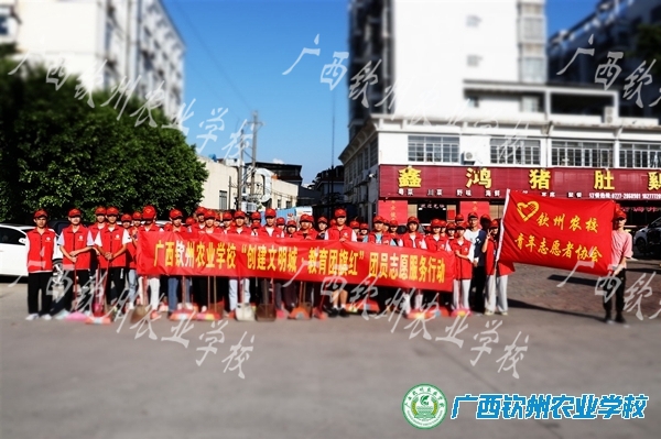 创建文明城▪教育团旗红——我校组织团员志愿者参加创建文明城市志愿服务活动
