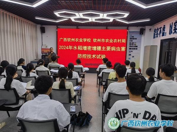 广西钦州农业学校与钦州市农业农村局联合开展2024年水稻增密增穗主要病虫害防控技术试验