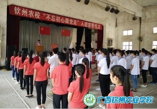 我校举行“不忘初心跟党走”入团宣誓仪式