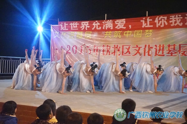 我校领导带队参加钦北区文化进基层晚会