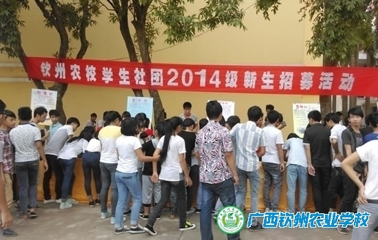 我校举行学生社团2014级新生招募活动
