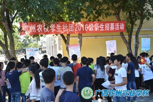我校学生社团举行2016级新生招募活动