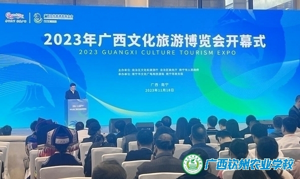 展非遗文化 秀本土风采 ——电子商务专业师生与校企合作单位参加东盟展览会