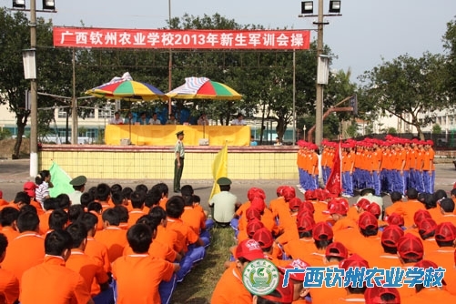 超越梦想 永不言败——军训系列报道之军训会操比赛