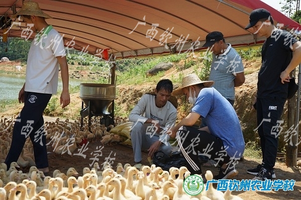 我校组织专业老师到钦北区开展创业致富带头人培训跟踪服务回访工作