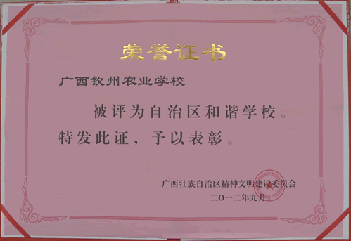 我校被自治区文明委评为“自治区和谐学校”