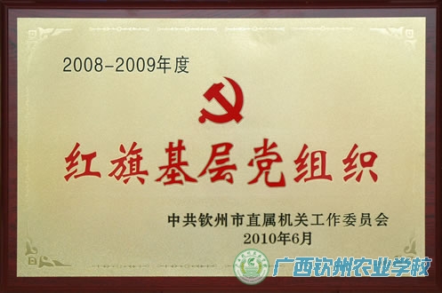 我校再次获市直机关红旗基层党组织称号