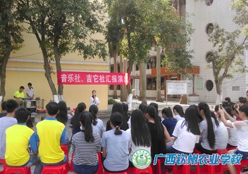 音乐社、吉它社举办汇报演出