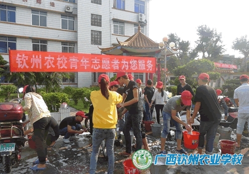 校团委组织开展学雷锋主题活动