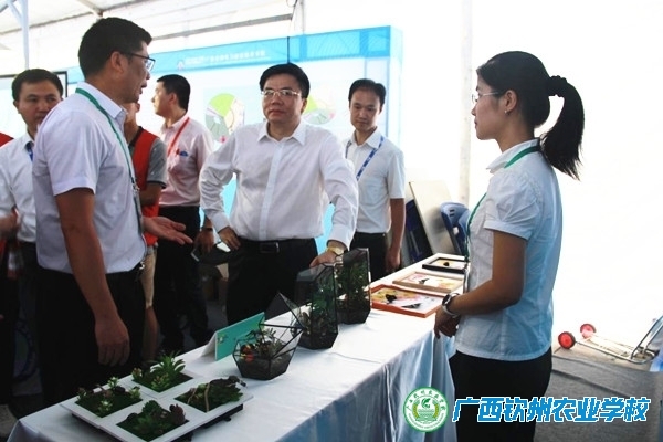 在“创新”“创意”中彰显办学特色——广西钦州农业学校参加2017中国—东盟职业教育学生技术技能展演活动