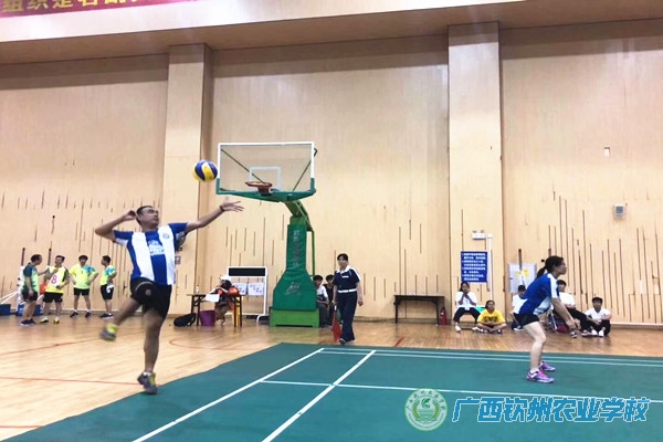 我校气排球代表队在钦州市2019年庆“五•一”职工运动会中再创佳绩