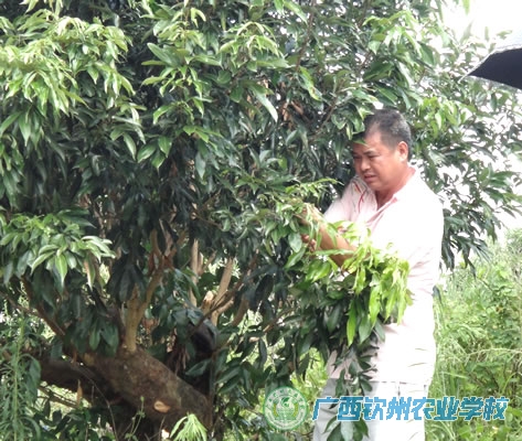 我校驻村队员魏存昊同志获武利镇“美丽武利，清洁乡村”先进个人荣誉称号