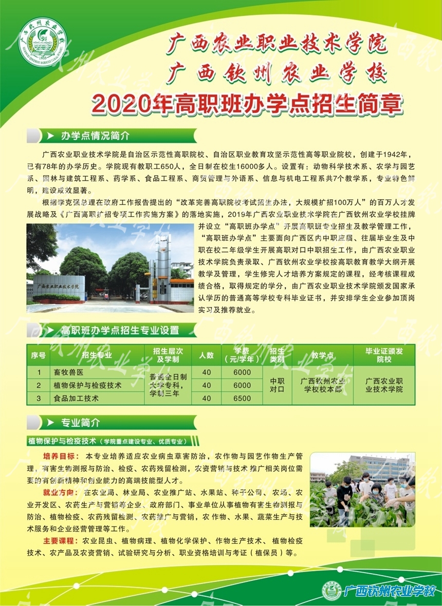 钦州农校2020年高职班教学点招生简章