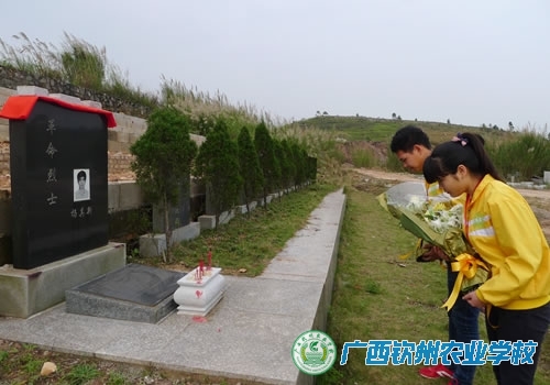 清明时节祭英烈