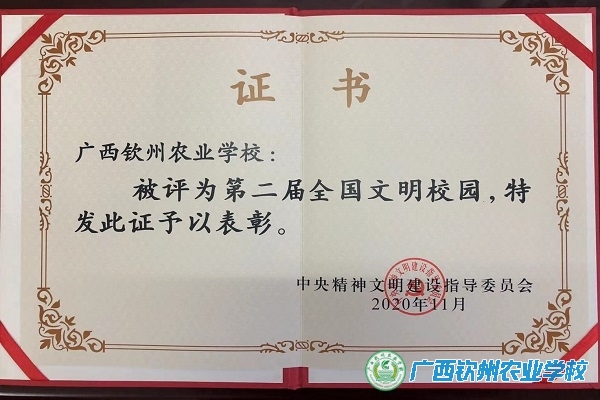 学校新时代十年发展成就成效之八   恒心打造：创建品牌收获新荣誉