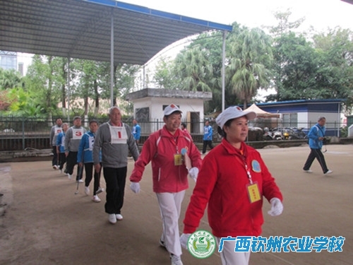 我校老年门球队荣获自治区农业厅第十七届老年门球比赛第二名