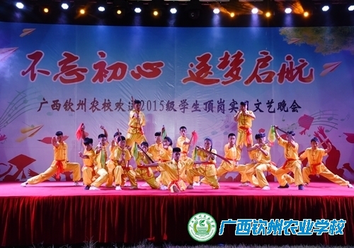 “不忘初心 逐梦启航”——我校举行欢送2015级学生顶岗实习