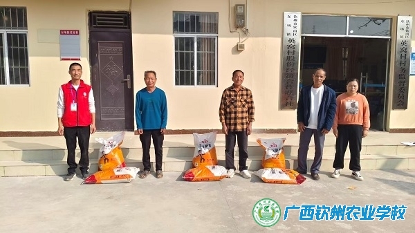 寒冬送暖田间，科技助农保丰收