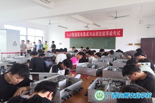 理工教学部圆满完成2024年度“1+X”智能配电集成与运维职业技能等级证书考核工作