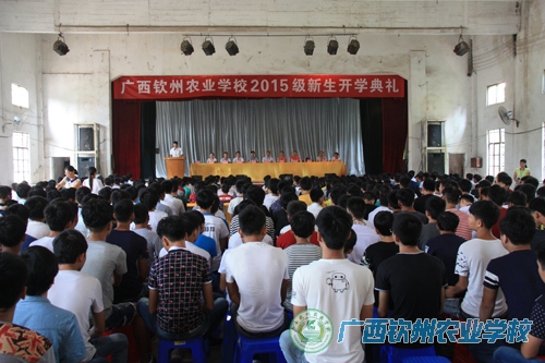 我校举行2015级新生入学典礼