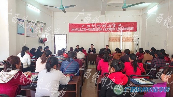 我校2019年钦北区第一期农民教育培训（蔬菜栽培）培训班圆满结束