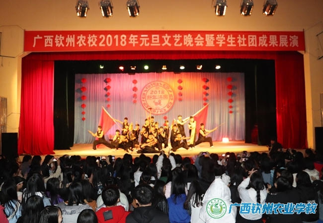 社团大联欢 魅力展风采 ——我校2018年元旦文艺晚会暨学生社团成果展演圆满落幕