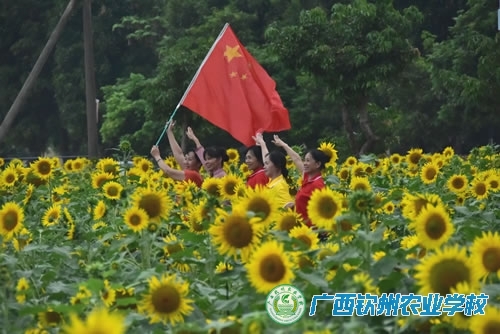花海  人海  科普海洋之门