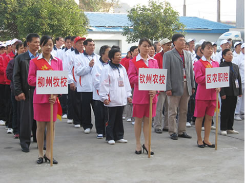 我校老年门球队荣获自治区农业厅系统老年门球赛第二名